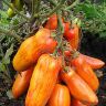 томат перцевидный полосатый