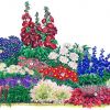 Схема клумбы с многолетними цветами для срезки