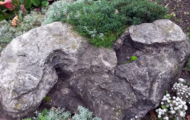 садовые композиции с камнем